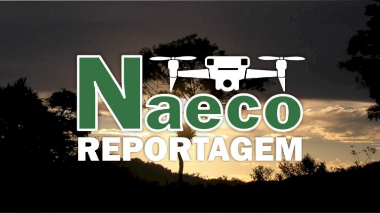 Naeco - Reportagens e serviços de campo