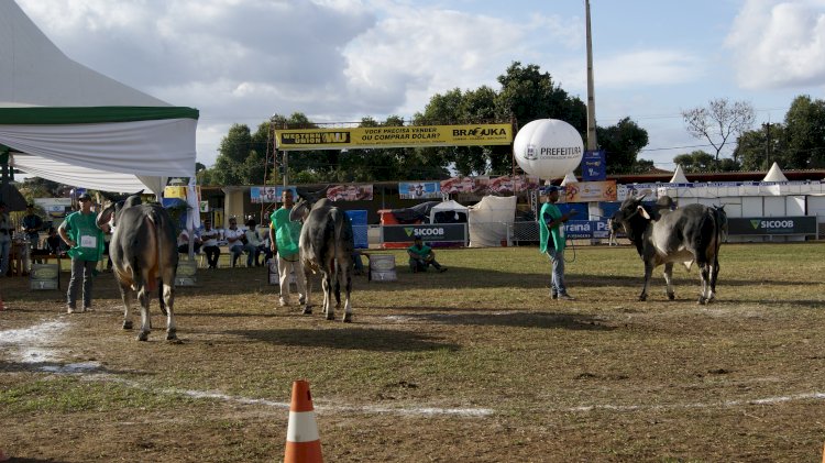 Exposição Agropecuária