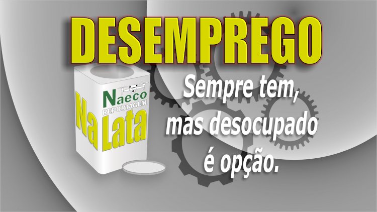 Desempregado ou desocupado?